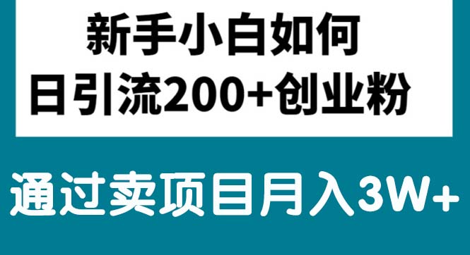 （10843期）新手小白日引流200+创业粉,通过卖项目月入3W+-英祺创业