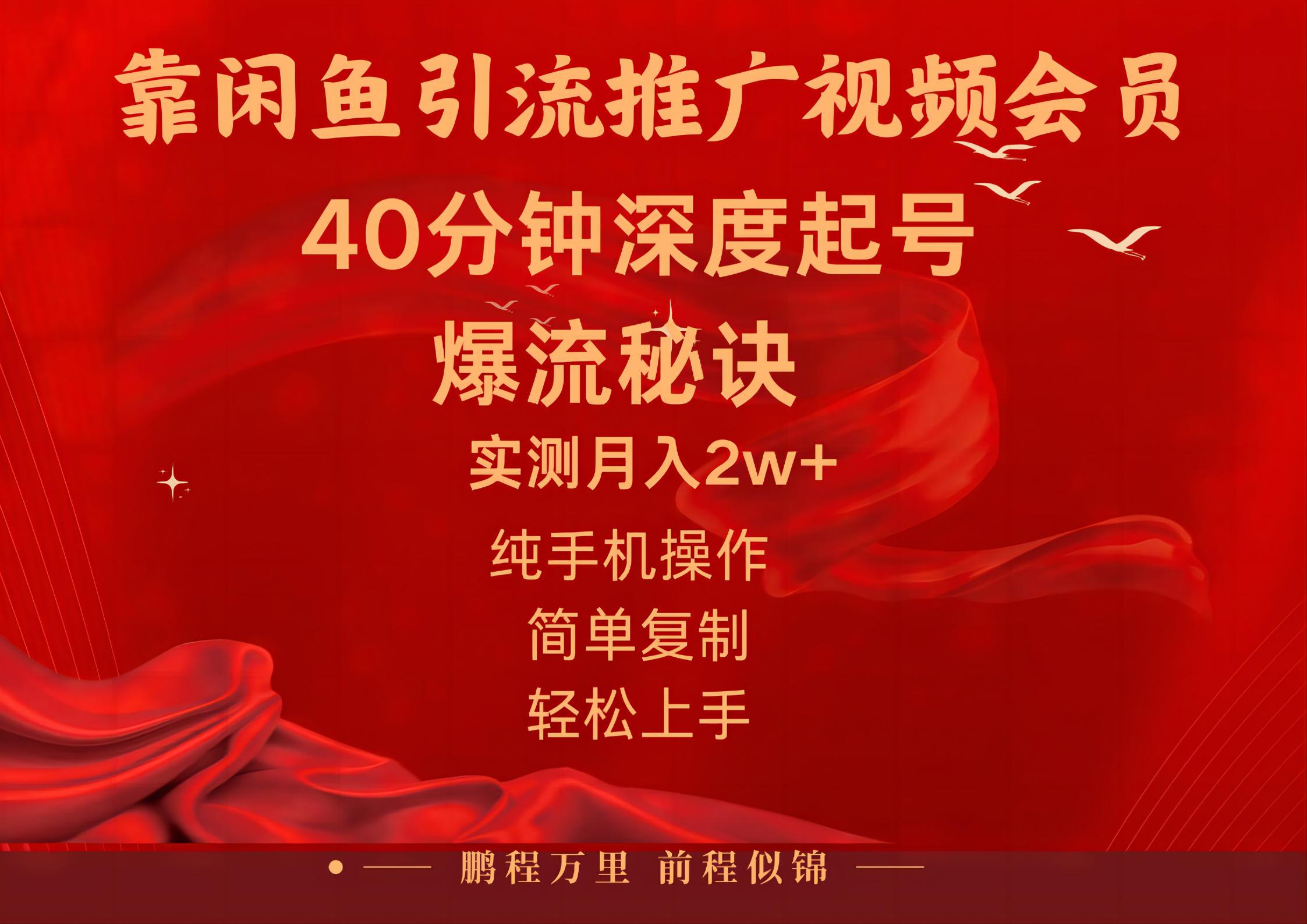 （10895期）闲鱼暴力引流推广视频会员，能做到日入2W+，操作简单-英祺创业