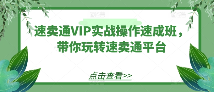 速卖通VIP实战操作速成班，带你玩转速卖通平台-英祺创业