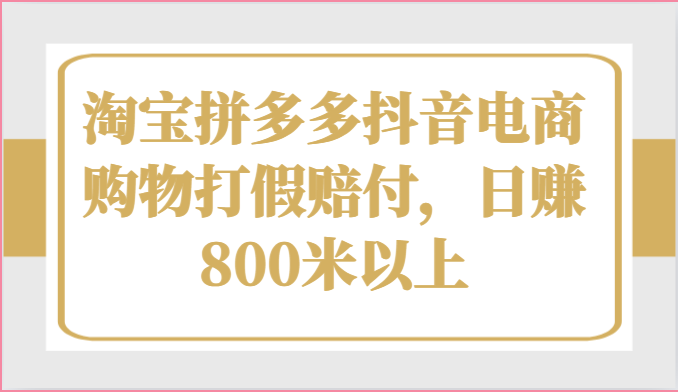 淘宝拼多多抖音电商购物打假赔付，日赚800米以上-英祺创业