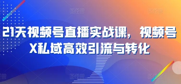 21天视频号直播实战课，视频号X私域高效引流与转化-英祺创业