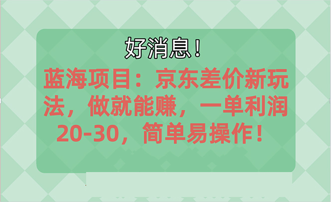 （10989期）越早知道越能赚到钱的蓝海项目：京东大平台操作，一单利润20-30，简单…-英祺创业