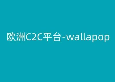 欧洲C2C平台-wallapop-kim跨境电商教程-英祺创业