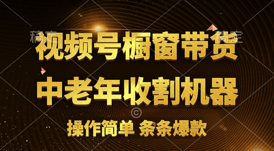 （11009期）[你的孩子成功取得高位]视频号最火爆赛道，橱窗带货，流量分成计划，条…-英祺创业