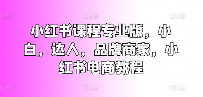小红书课程专业版，小白，达人，品牌商家，小红书电商教程-英祺创业