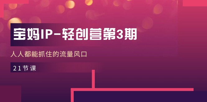 （11042期）宝妈IP-轻创营第3期，人人都能抓住的流量风口（21节课）-英祺创业