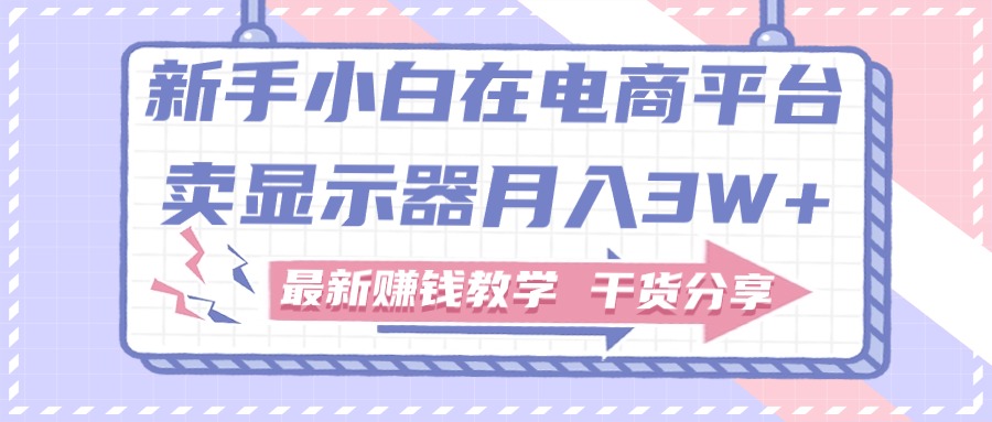 （11053期）新手小白如何做到在电商平台卖显示器月入3W+，最新赚钱教学干货分享-英祺创业