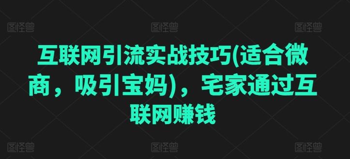 互联网引流实战技巧(适合微商，吸引宝妈)，宅家通过互联网赚钱-英祺创业