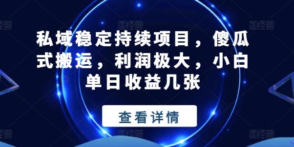 私域稳定持续项目，傻瓜式搬运，利润极大，小白单日收益几张【揭秘】-英祺创业