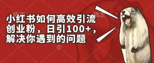 小红书如何高效引流创业粉，日引100+，解决你遇到的问题【揭秘】-英祺创业
