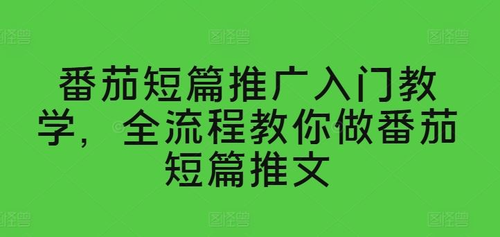 番茄短篇推广入门教学，全流程教你做番茄短篇推文-英祺创业