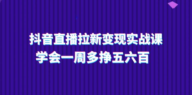 （11254期）抖音直播拉新变现实操课，学会一周多挣五六百（15节课）-英祺创业