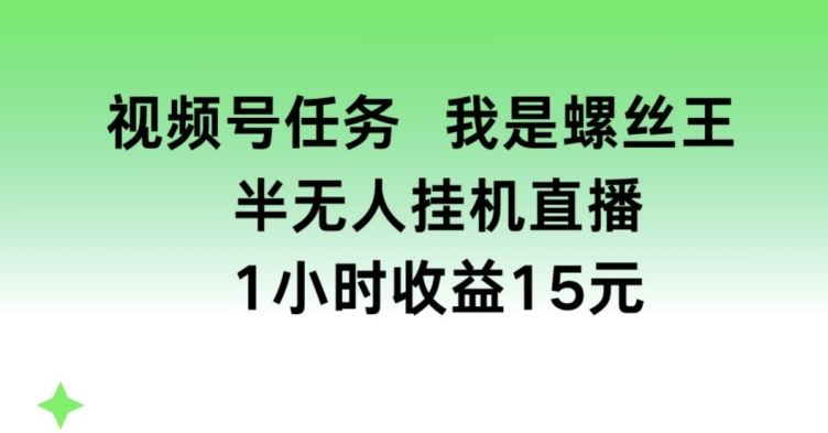 视频号任务，我是螺丝王， 半无人挂机1小时收益15元【揭秘】-英祺创业