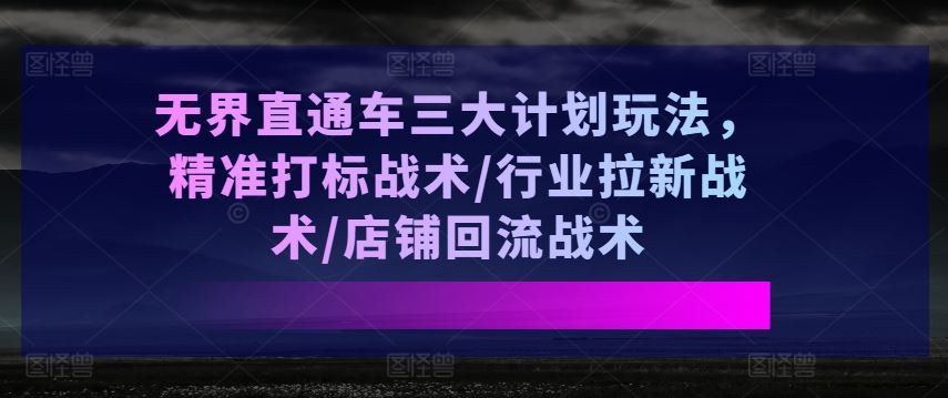 无界直通车三大计划玩法，精准打标战术/行业拉新战术/店铺回流战术-英祺创业