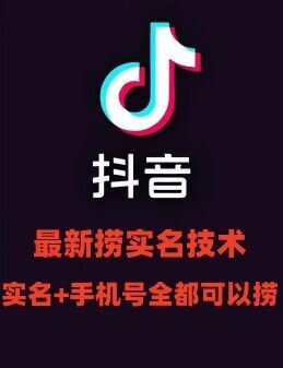 最新技术抖音捞实名+捞手机号技术，抖音直播封禁释放十名/手机号，直接替换出来!-英祺创业