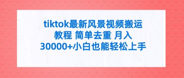 tiktok最新风景视频搬运教程 简单去重 月入3W+小白也能轻松上手【揭秘】-英祺创业