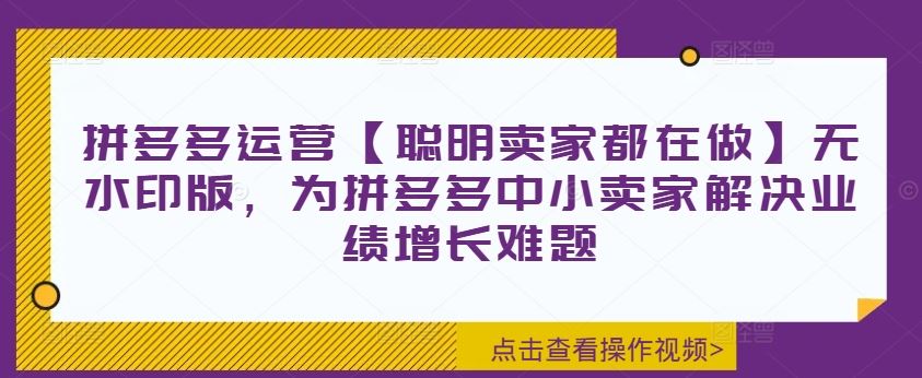 拼多多运营【聪明卖家都在做】无水印版，为拼多多中小卖家解决业绩增长难题-英祺创业