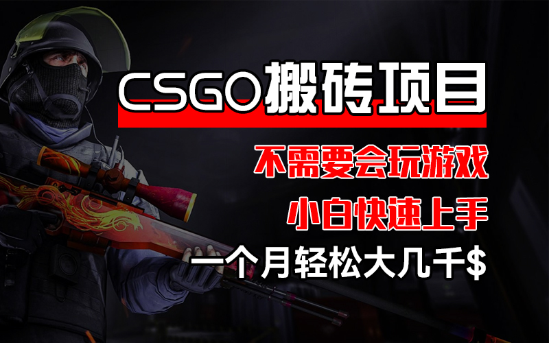 （12332期）CSGO 装备搬砖项目，操作简单，不需要会玩游戏，小白也能快速上手，一…-英祺创业