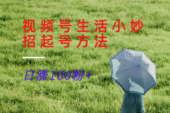 视频号生活小妙招分享赛道， 起号涨粉新方法，日涨100粉-英祺创业
