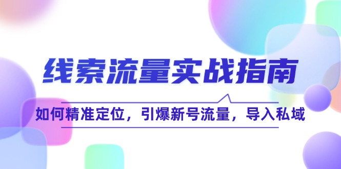 （12382期）线 索 流 量-实战指南：如何精准定位，引爆新号流量，导入私域-英祺创业
