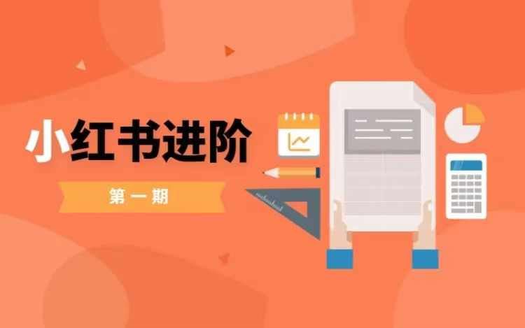 小红书进阶篇，零基础小白实战课，普通人变现的课程-英祺创业