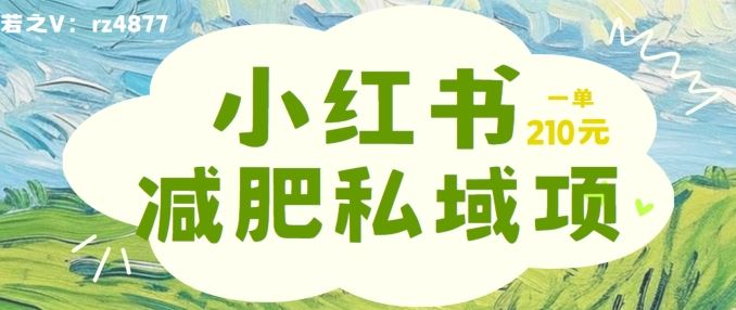 小红书减肥粉，私域变现项目，一单就达210元，小白也能轻松上手【揭秘】-英祺创业