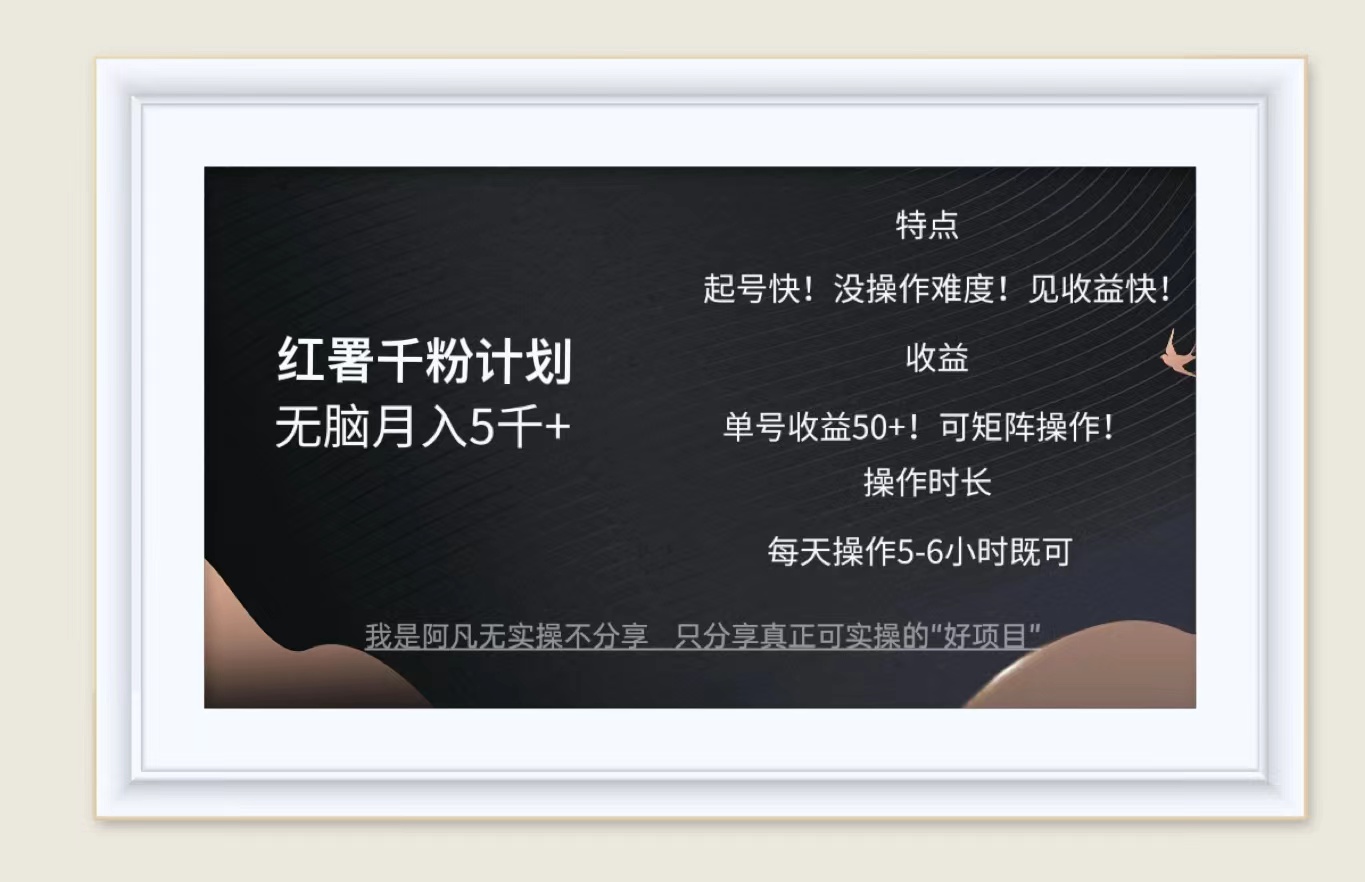 （12560期）红薯千粉计划无脑月入5千+！既做既赚！-英祺创业