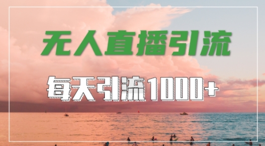 抖音快手视频号全平台通用，无人直播引流法，超暴力引流1000+高质量精准创业粉【揭秘】-英祺创业