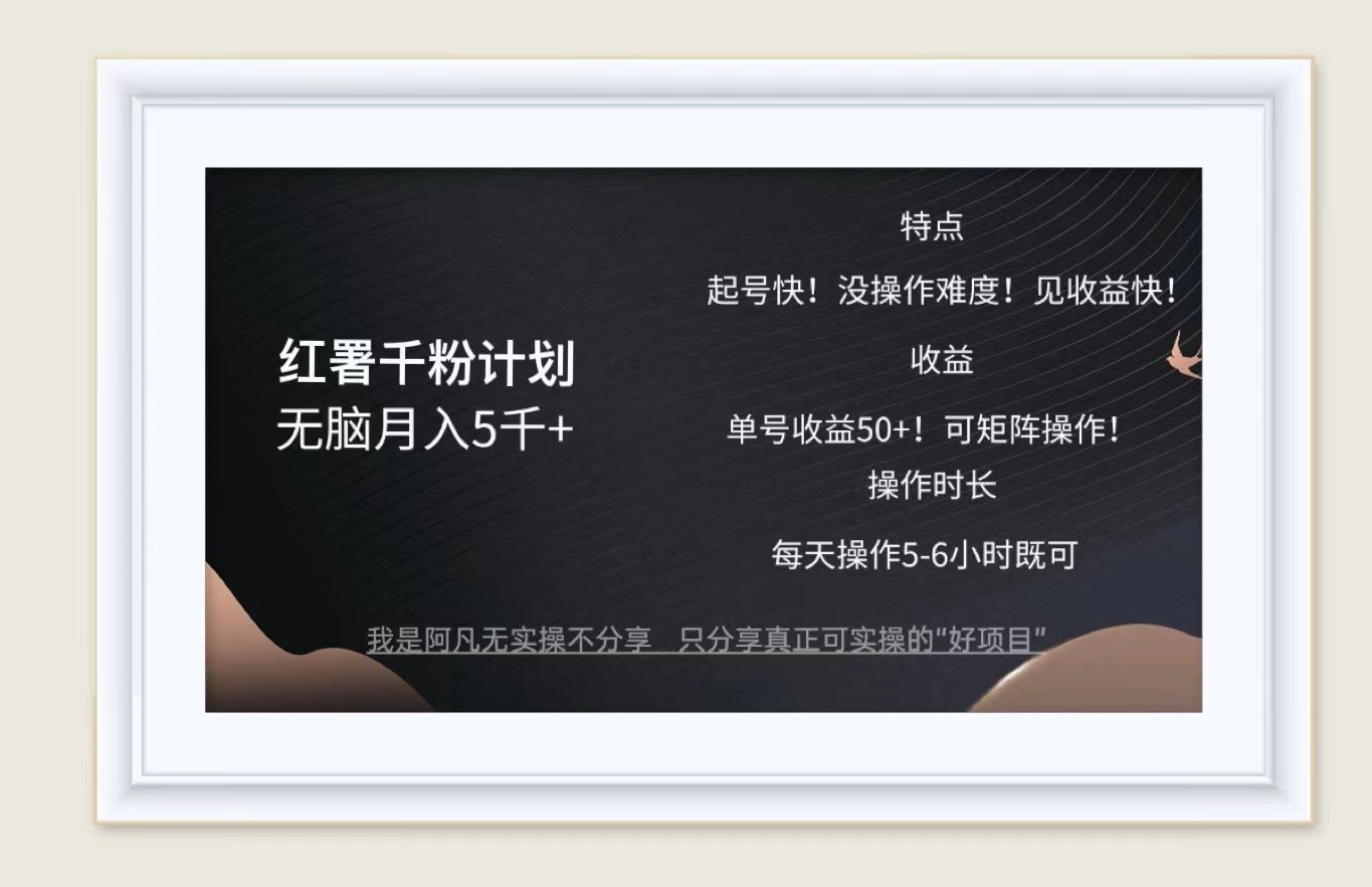 红薯千粉计划无脑月入5千+！既做既赚！-英祺创业