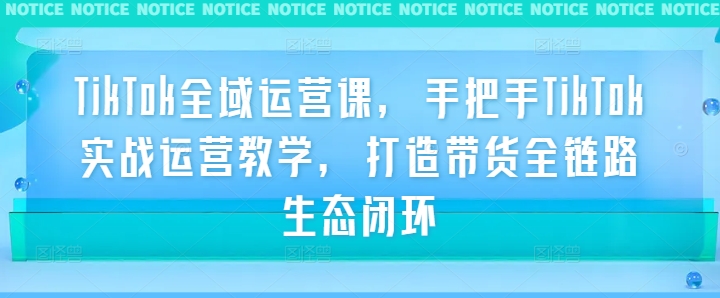 TikTok全域运营课，手把手TikTok实战运营教学，打造带货全链路生态闭环-英祺创业