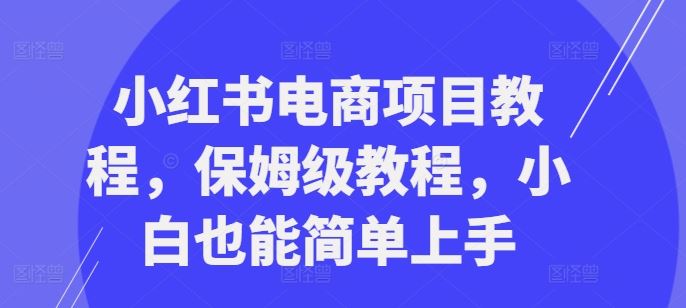 小红书电商项目教程，保姆级教程，小白也能简单上手-英祺创业