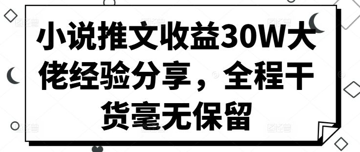 小说推文收益30W大佬经验分享，全程干货毫无保留-英祺创业