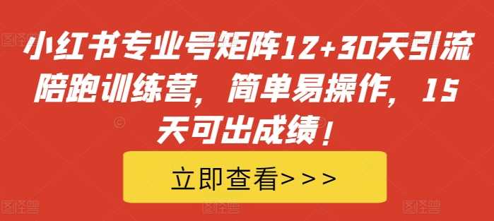 小红书专业号矩阵12+30天引流陪跑训练营，简单易操作，15天可出成绩!-英祺创业