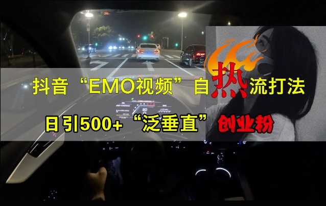 抖音EMO视频自热打法，日引500+“泛垂直”创业粉-英祺创业