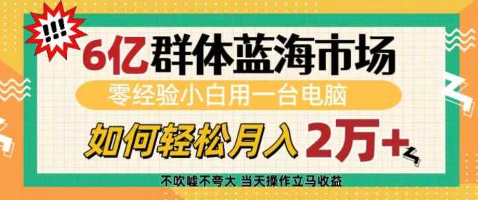 6亿群体蓝海市场，零经验小白用一台电脑，如何轻松月入过w【揭秘】-英祺创业