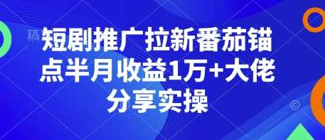 短剧推广拉新番茄锚点半月收益1万+大佬分享实操-英祺创业