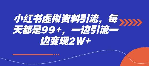 小红书虚拟资料引流，每天都是99+，一边引流一边变现2W+-英祺创业