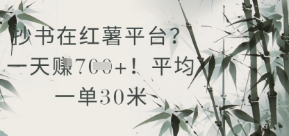平均一单30米，一天收益几张！抄书在小红薯平台？-英祺创业
