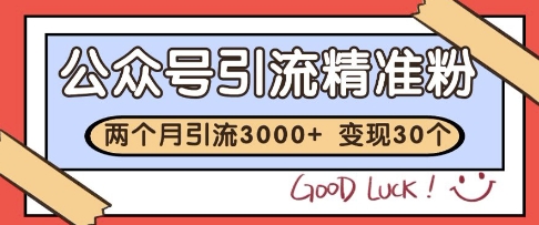 公众号精准粉引流玩法，2个月3000+精准粉，变现30个W【揭秘】-英祺创业