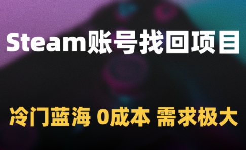 冷门蓝海，0成本，Steam账号找回项目，需求极大-英祺创业