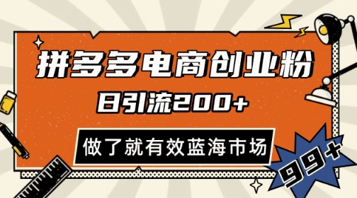 日引200+，可矩阵放大，拼多多引流电商创业粉，做了就有效【揭秘】-英祺创业