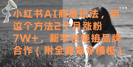 用这个方法2个月涨粉7W+，小红书AI商单玩法，新手也能接品牌合作(附全套指令模板)-英祺创业