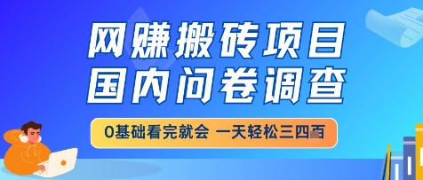 国内问卷调查，小白轻松上手，网创搬砖项目，一天三四张的也不难，干就完了【揭秘】-英祺创业