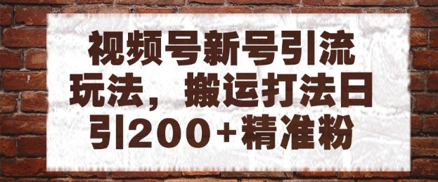 搬运打法日引200+精准粉，视频号新号引流玩法，可矩阵放大【揭秘】-英祺创业