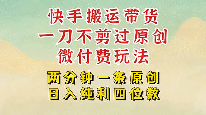 快手黑科技搬运带货，一刀不剪过原创，微付费投流玩法，轻松日入四位数-英祺创业
